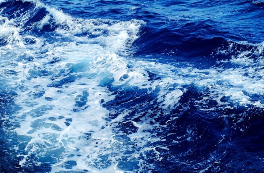  MareDireFare un festival dedicato al “grande blu” per celebrare l’avvio del Decennio degli Oceani