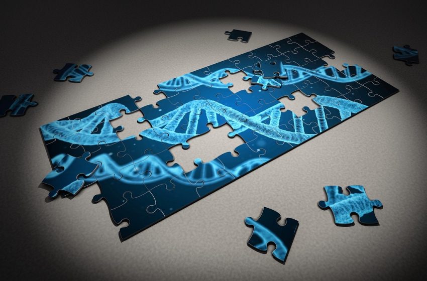  DNA uncovered: ottenuta la sequenza completa del genoma umano