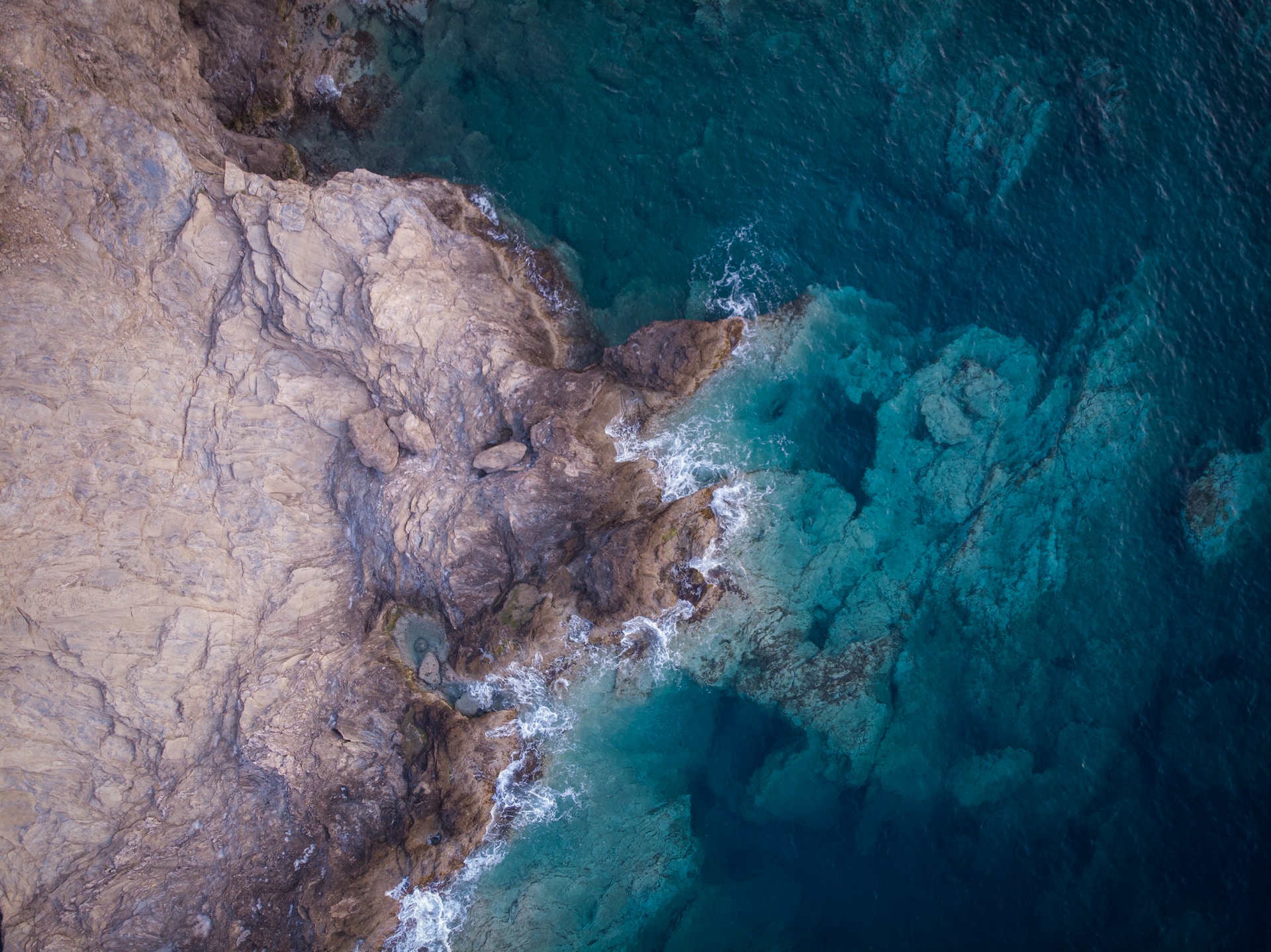 Acidificazione del Mediterraneo: effetti negativi su acquacoltura e pesca