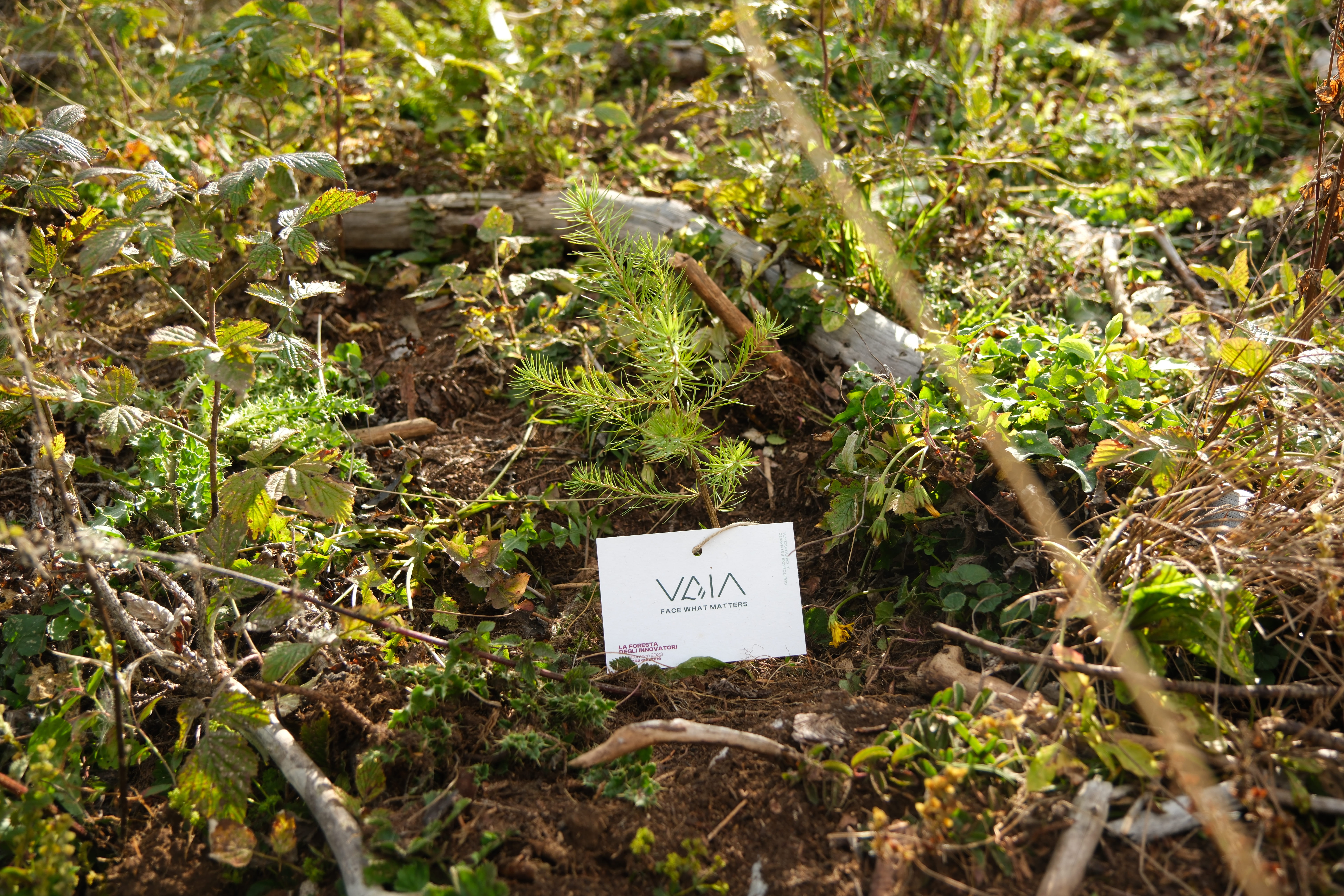 La Foresta degli Innovatori, un nuovo luogo, che sappia ispirare