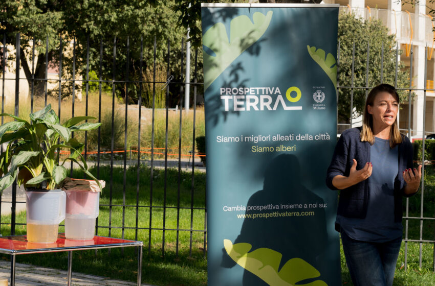  Ecco come gli alberi possono proteggere le città dalle bombe d’acqua