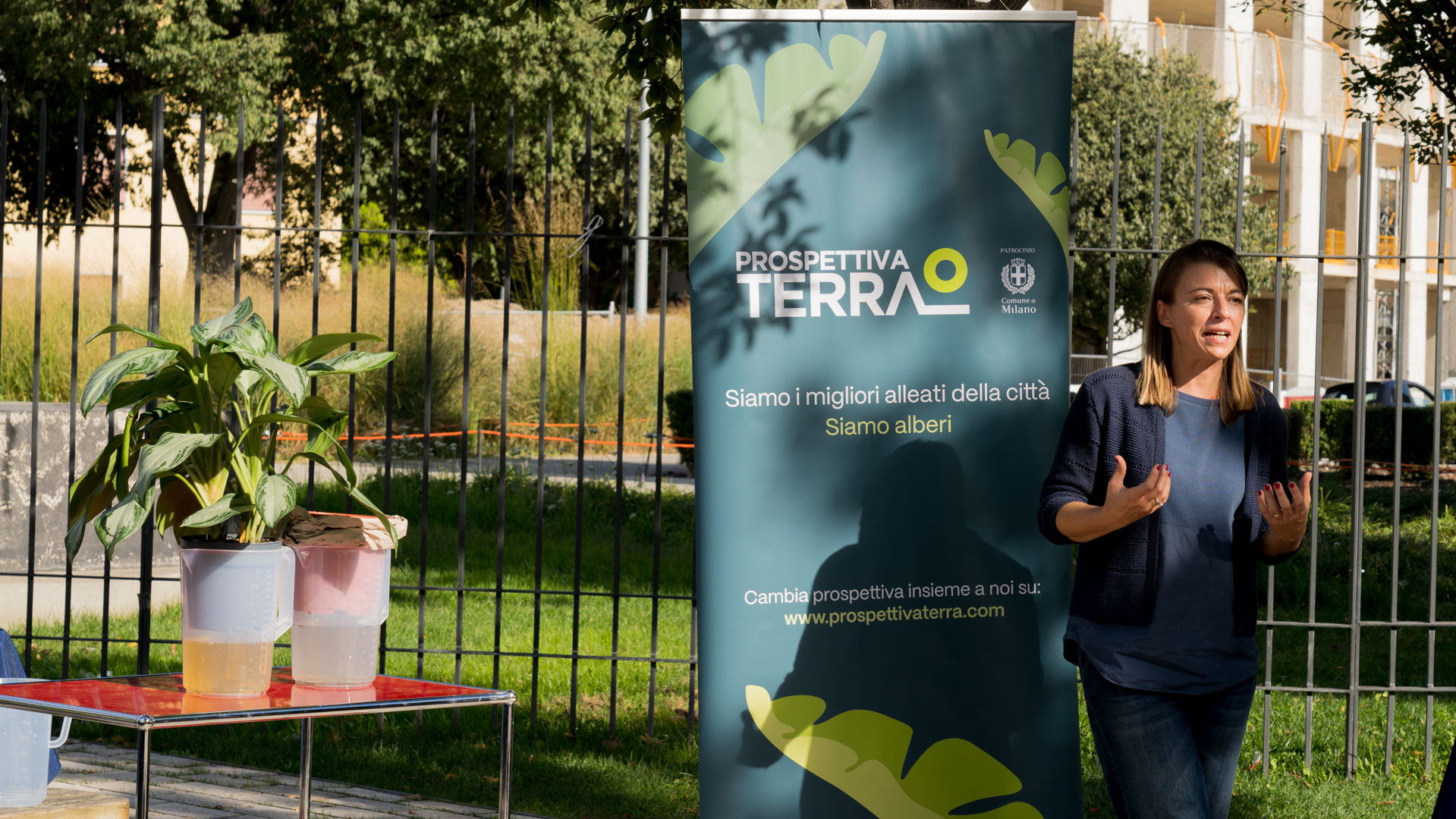 Ecco come gli alberi possono proteggere le città dalle bombe d’acqua