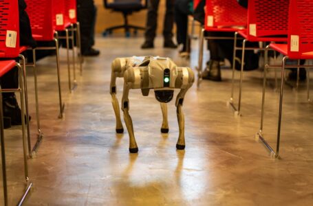 Cani robot: oltre le fiere, tra futuro e presente